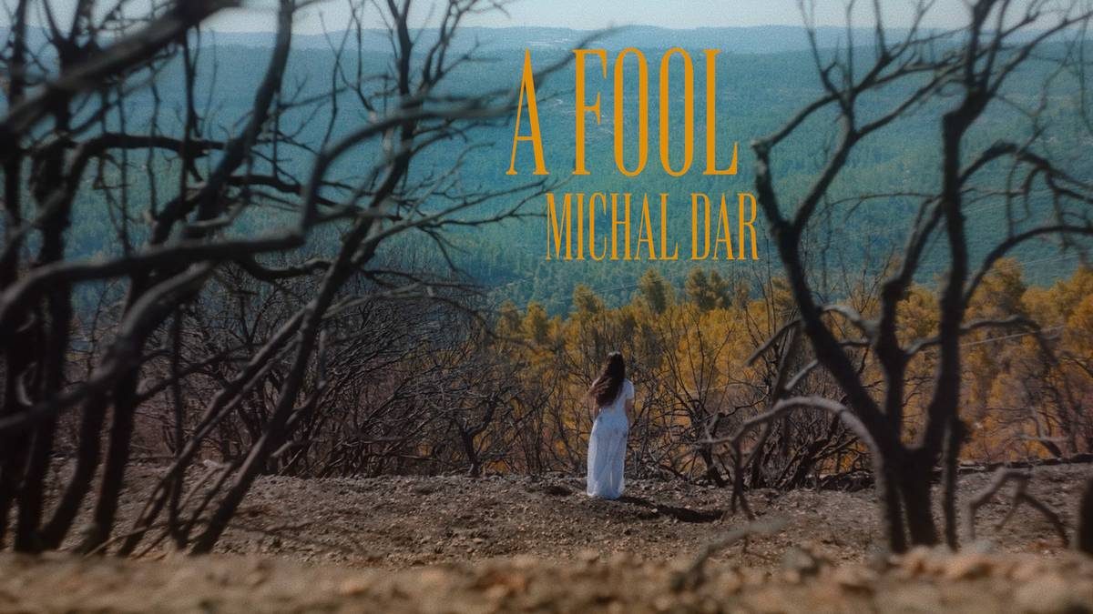A Fool